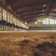 Dirt arena floor with banners in livestock exhibition hall during daylight. The floor of a dirt arena is visible, surrounded by colorful banners hanging on the walls under bright lights.